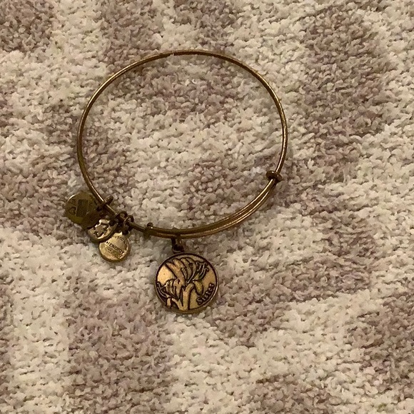 Alex and Ani sister bangle - Picture 1 of 1
